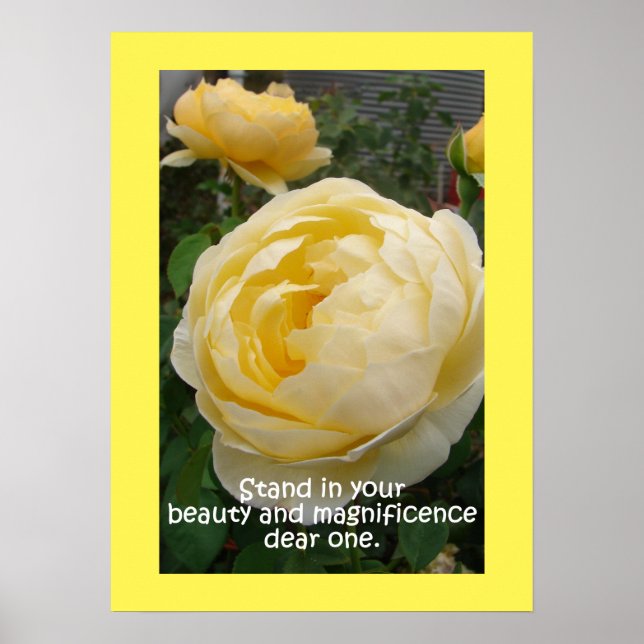 Yellow Rose Roses Nature Garden Poster (Front)