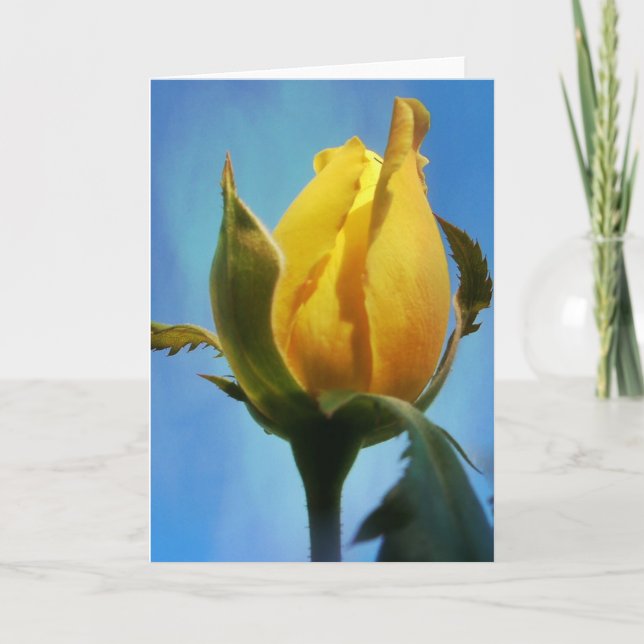 Yellow Rose Scripture Card Lamentations 3:22-23 (Front)