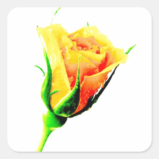 Yellow Rose Square Sticker (Front)