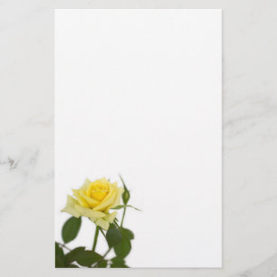 Yellow rose stationery