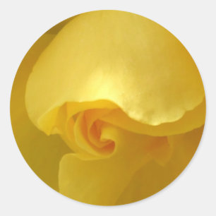 Yellow Rose Sticker