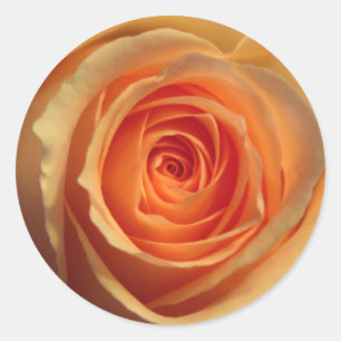 Yellow Rose Sticker