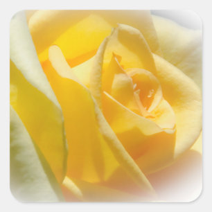 Yellow Rose Stickers
