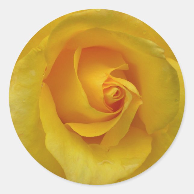 Yellow Rose Stickers Cheerful Rose Gifts Keepsake (Front)