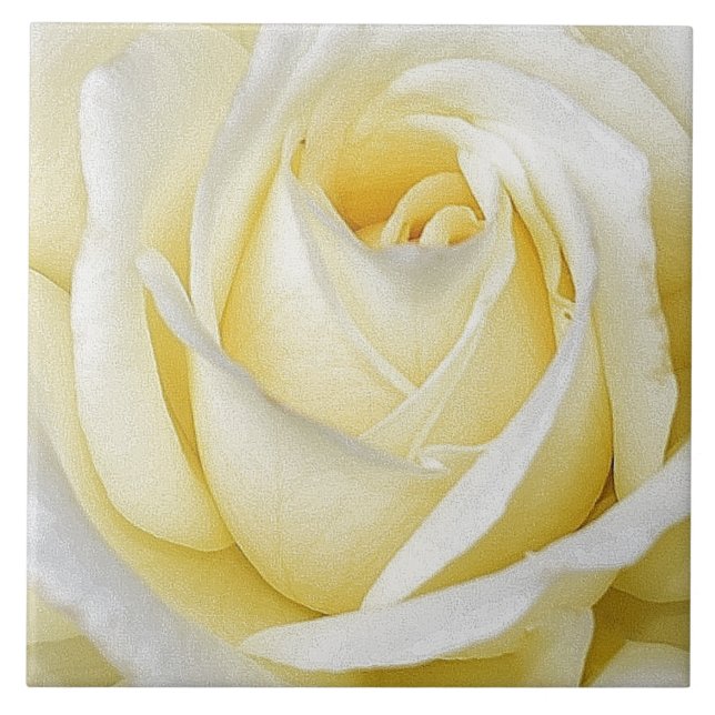 Yellow Rose Tile (Front)