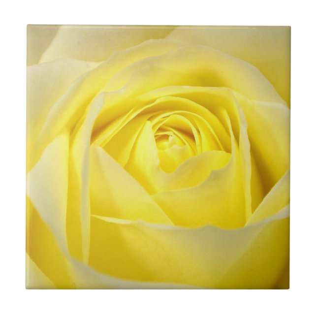 Yellow Rose Tile (Front)