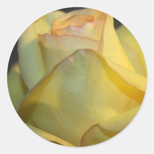 Yellow Rose Wedding Sticker (Front)