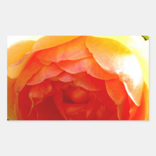 Yellow Rose yellow floral yellow flower Rectangular Sticker