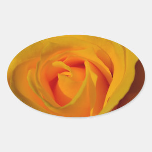 Yellow Rose, yellow flower Oval Sticker