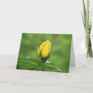 Yellow rosebud card