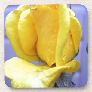 Yellow Rosebud Coaster
