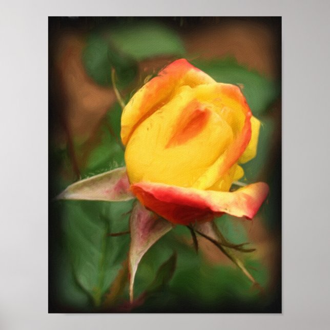Yellow Rosebud Flower Art Photo Painting Poster (Front)