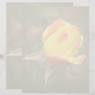 Yellow Rosebud Flower Custom Letterhead