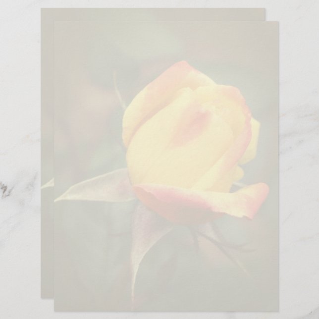 Yellow Rosebud Flower  Custom Letterhead (Front/Back)
