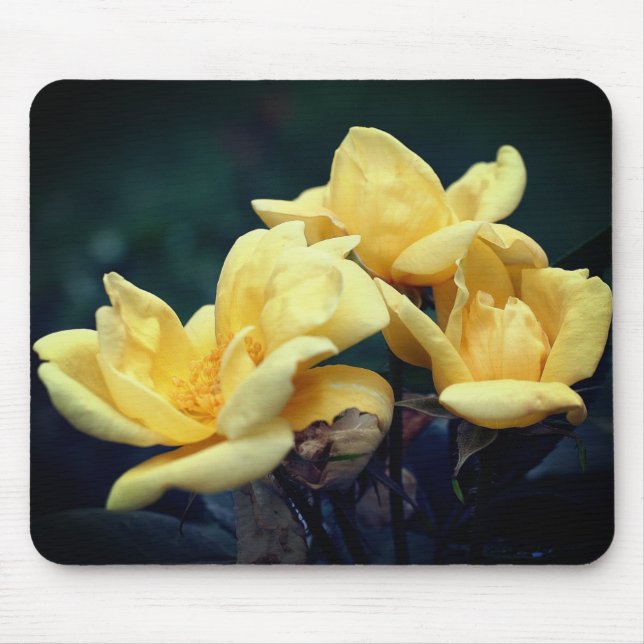 Yellow Rosebud Flowers Mouse Mat (Front)