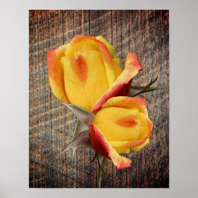 Yellow Rosebud Flowers On Barnboard Poster (Front)