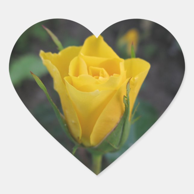 Yellow Rosebud Heart Sticker (Front)