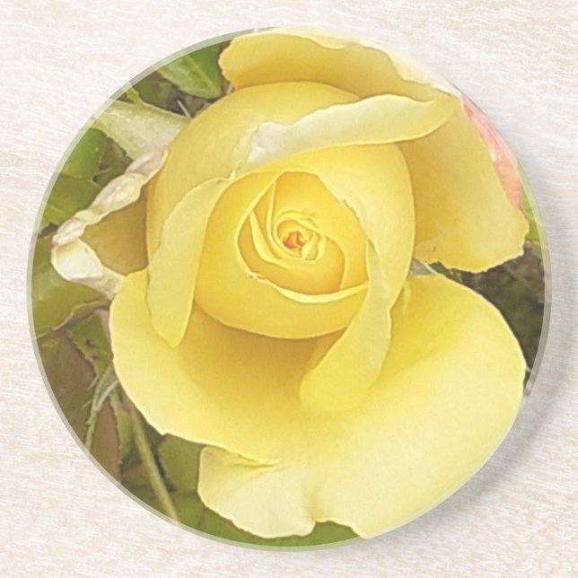 Yellow Rosebud Sandstone Coaster (Front)