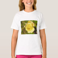 Yellow Rosebud