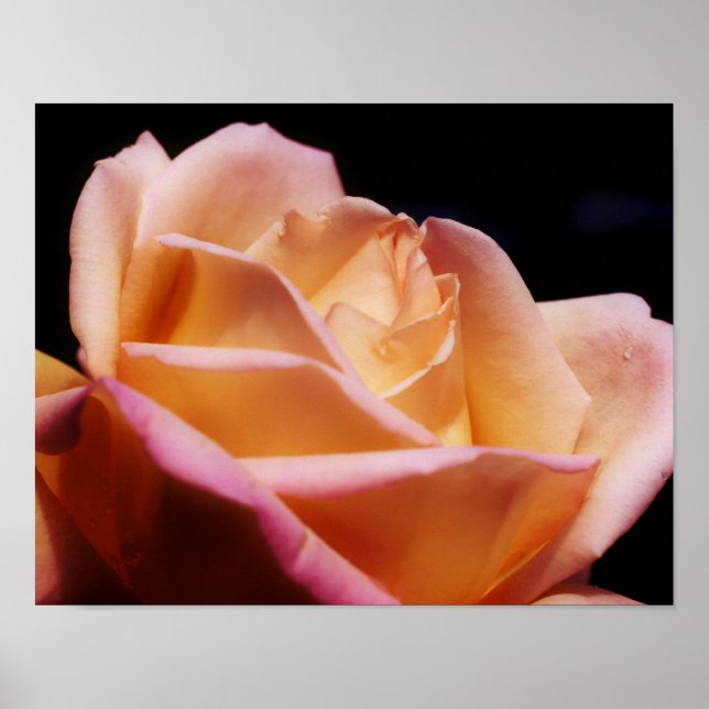 Yellow Rosebud Tinted Flower Art Poster (Front)