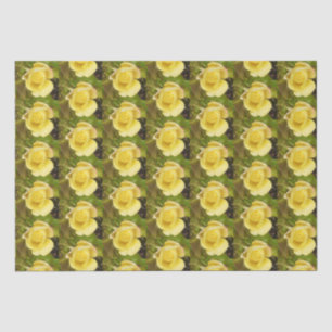 Yellow Rosebud Tissue Paper