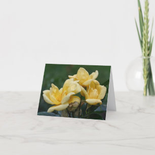 Yellow Rosebuds Flower Photography  Note Card