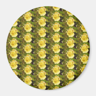 Yellow Rosebuds Magnet