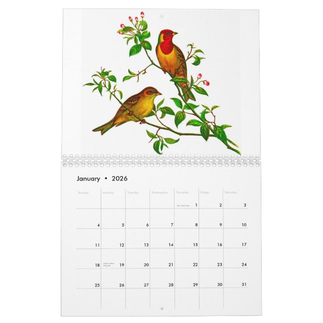 Yellow Rosella Calendar (Jan 2026)
