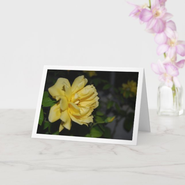 Yellow Roses at Night Portrait Card (Orchid)