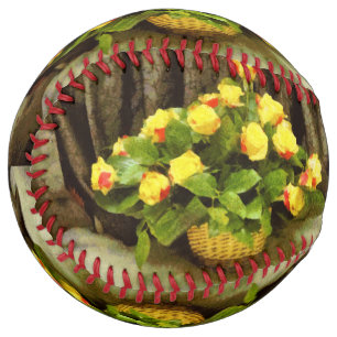 Yellow roses basket painting softball