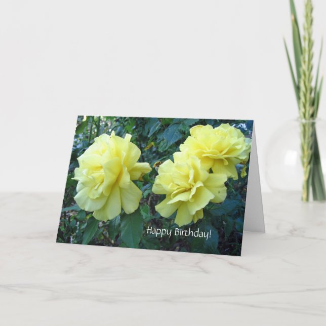 Yellow roses Birthday Card (Front)