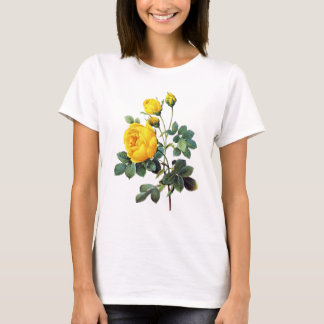 Yellow Roses by Pierre Joseph Redoute T-Shirt