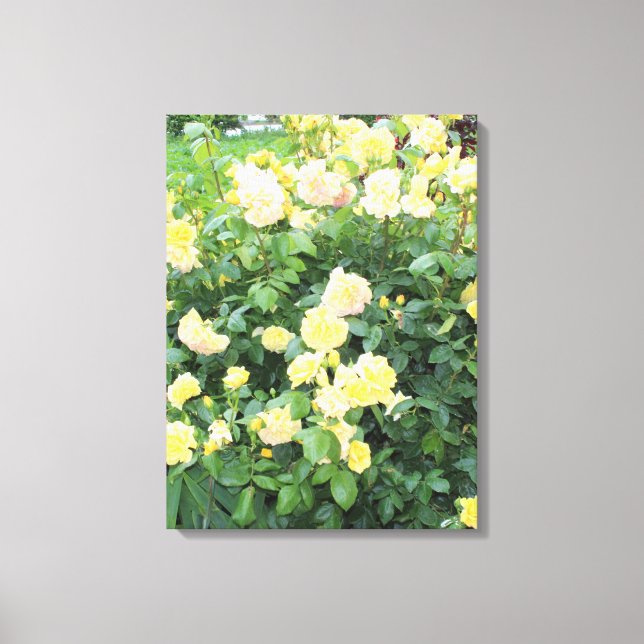 Yellow Roses Canvas Print (Front)