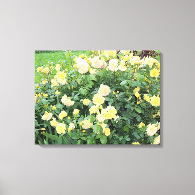 Yellow Roses Canvas Print (Front)