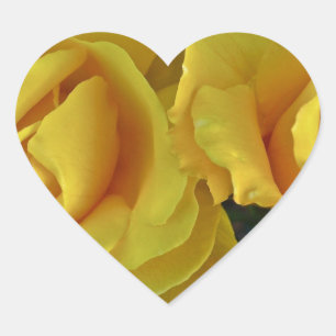Yellow Roses Floating In Space Heart Sticker
