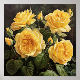 Yellow Roses Flower Art Print Poster