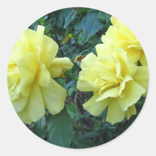 Yellow Roses Flower Sticker