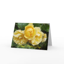 Yellow Roses Mother's Day