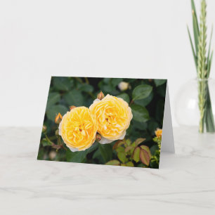 Yellow Roses Note Card