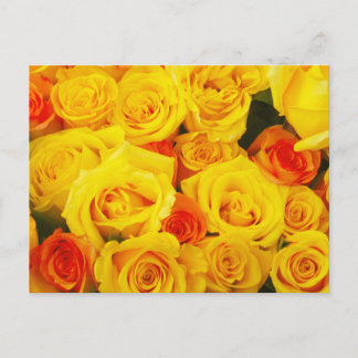 Yellow Roses Paris Postcard