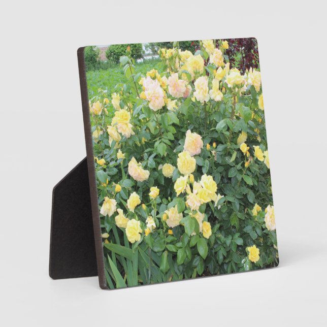 Yellow Roses Plaque (Front)