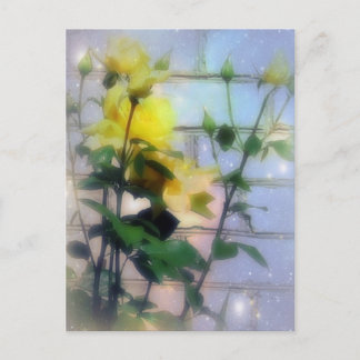 Yellow Roses Postcard
