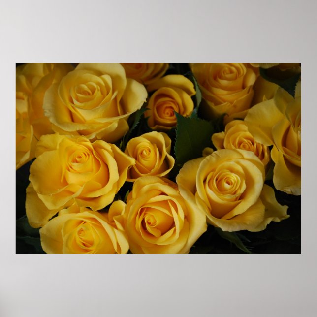 Yellow Roses Poster (Front)