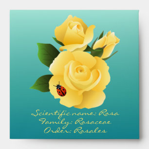 Yellow Roses Seed Packet Envelope
