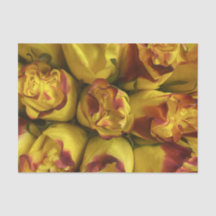 Yellow Roses With Red Tips Floral Tissue Paper