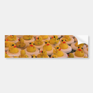 Yellow Rubber Ducks Funny Photo Bumper Sticker