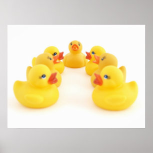 Yellow Rubber Ducks Poster