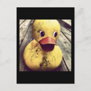 Yellow Rubber Ducky Needs a Bath! Postcard