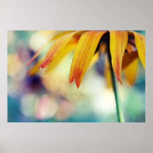 Yellow Rudbeckia Flower Petal Macro Abstract Poster