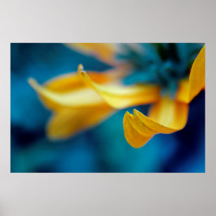 Yellow Rudbeckia Flower Petal Macro Abstract Poster